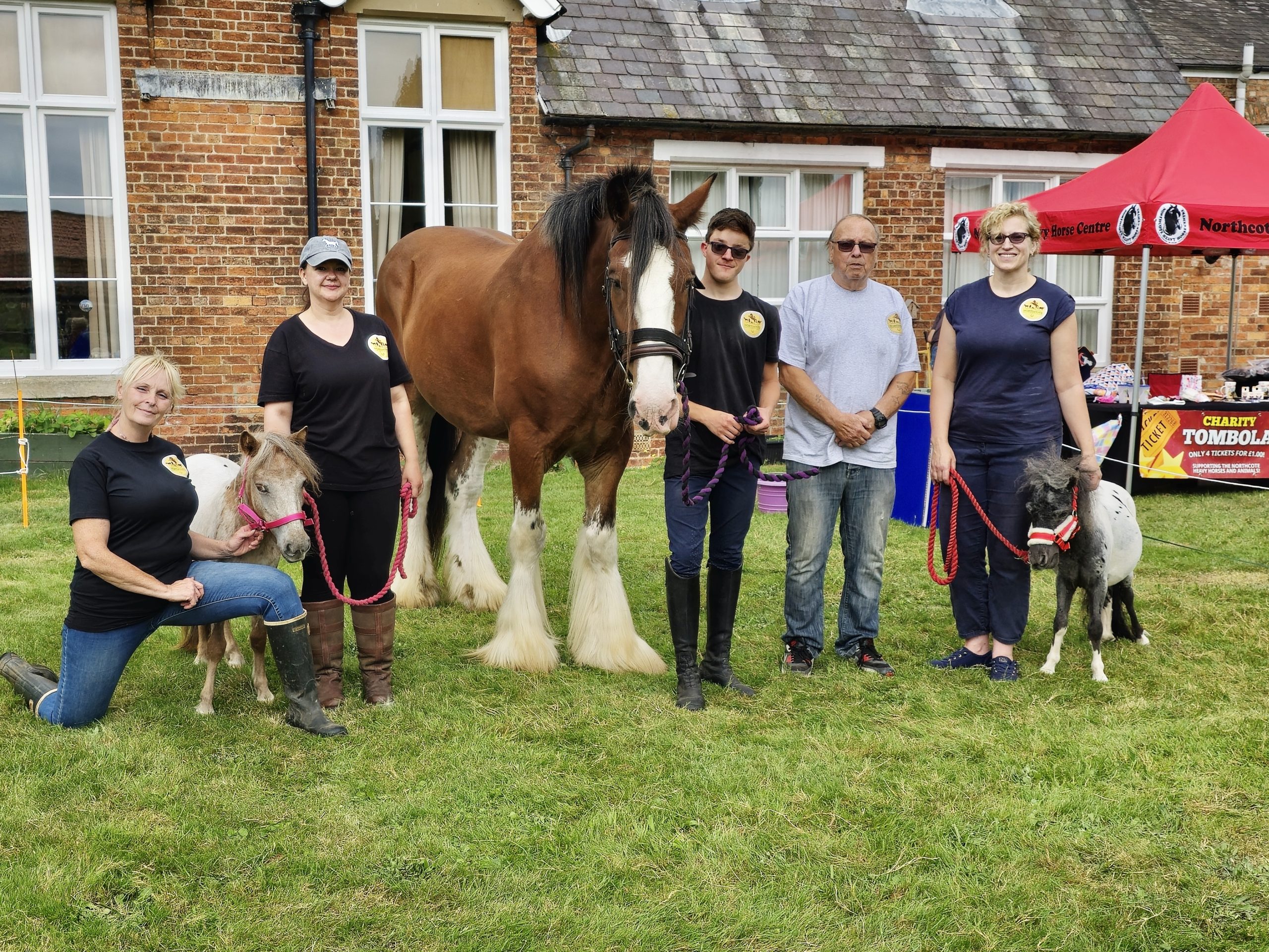 Five people pose outdoors with three horses of different sizes in front of a brick building and a red marquee. Some kneel, some stand, all smile while holding the horses on lead ropes—showing the joy of being a volunteer.