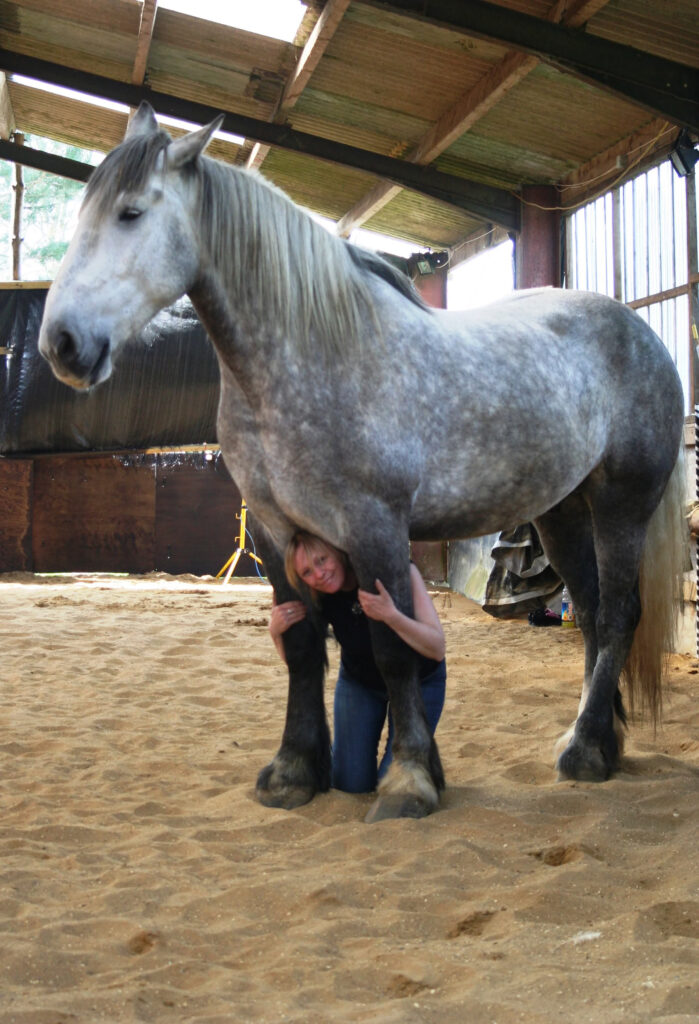 A smiling person crouches under the neck of a large grey horse named Bosun inside a sandy indoor arena with wooden and metal beams, capturing a heartfelt moment.
