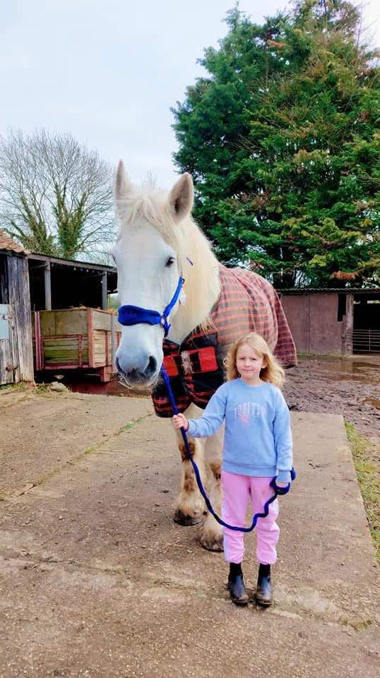 A young girl in a light blue sweatshirt and pink trousers stands outside holding the lead of her beloved bosun, a large white horse wearing a checked rug. Barns, trees, and concrete ground form the heartfelt scene’s background.