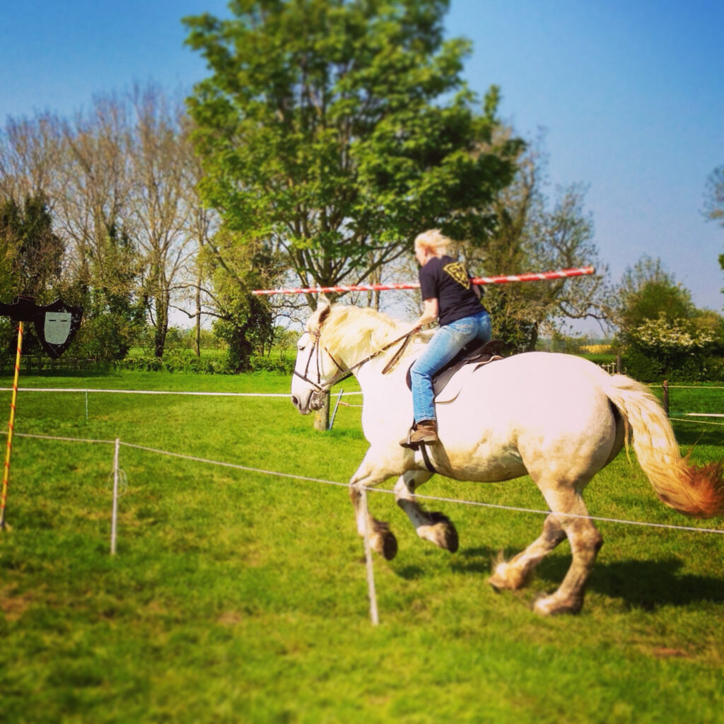 A person riding a white horse outdoors, like a steadfast bosun, aims a long spear at a shield target whilst galloping on green grass, with trees and blue sky in the background.
