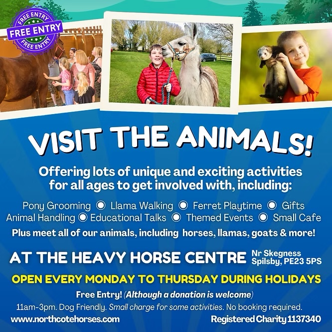 Colourful event poster for The Heavy Horse Centre in Spilsby invites visitors to Visit the Animals! Activities listed include pony grooming, llama walking, ferret playtime, and more. Open Mon-Thu in holidays; located near Skegness.