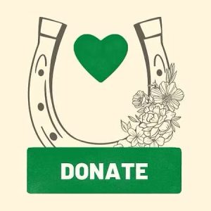 A green heart crowns a floral horseshoe outline at the lower right, representing Stall Booking’s spirit. Beneath, a bold white “DONATE” stands out on a green rectangle.