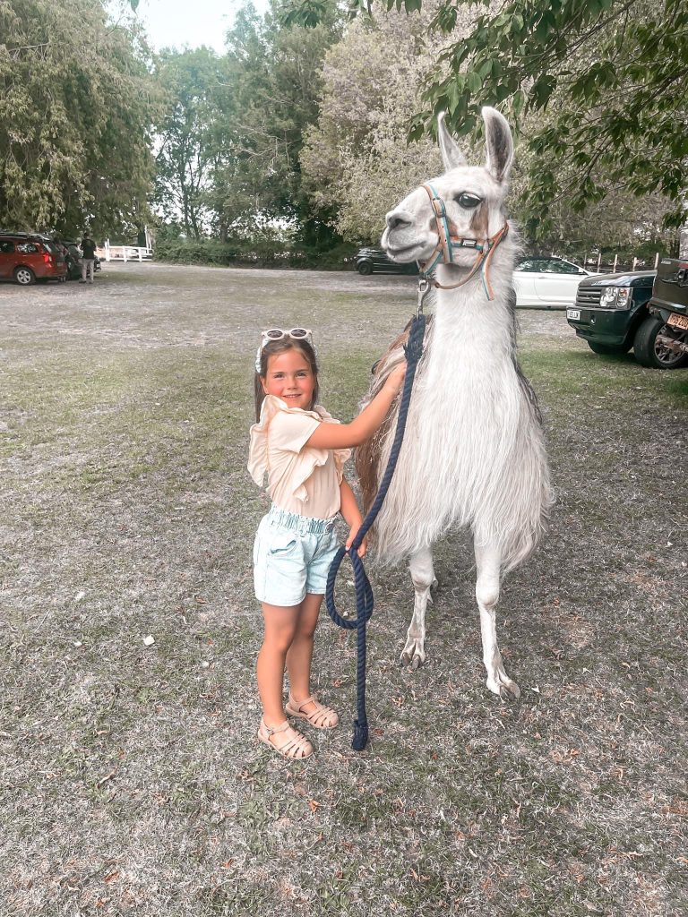 A young girl wearing a light-coloured shirt and shorts stands on grass, smiling and holding a rope attached to a large white llama. Trees and parked cars are visible in the background.