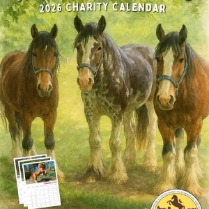 The Horses & Friends 2026 charity calendar cover shows three brown horses on grass, features the Northcote Horses & Animals Sanctuary logo, and promotes their Stall Booking product.