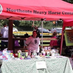 A woman stands in front of a marquee, ready to assist with Stall Booking.