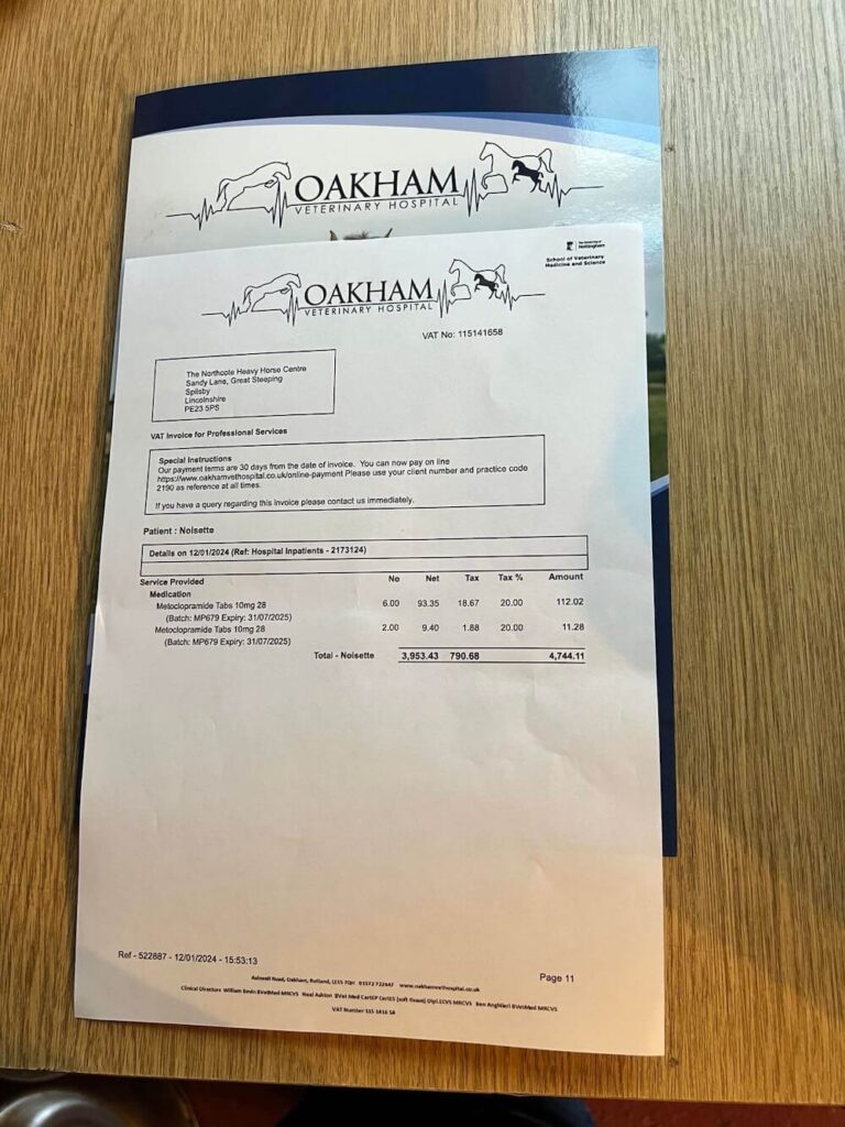 An emergency veterinary hospital invoice from Oakham Equine Hospital sits on a wooden surface, detailing itemised charges and total payment due for services rendered. The hospital logo with horse and animal outlines appears at the top.