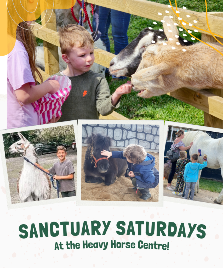 Children feeding and stroking animals including goats, a llama, and horses at an outdoor event. Join us for Sanctuary Saturday on 18 April 2026 at the Heavy Horse Centre!.