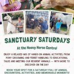 A colourful flyer for 