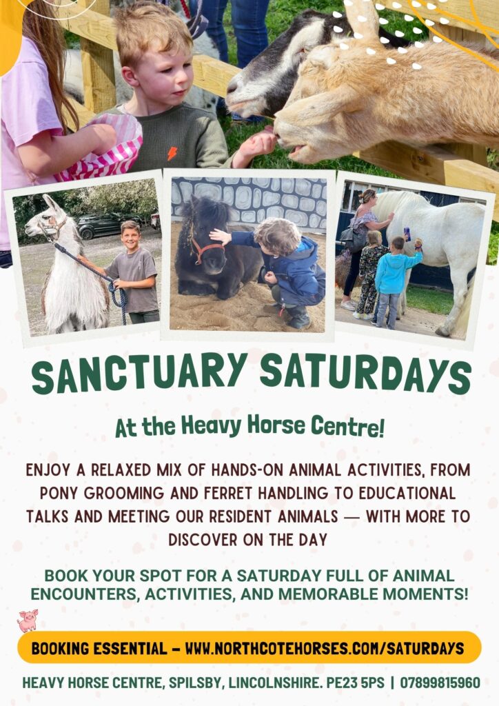 A colourful flyer for "Sanctuary Saturday" at the Heavy Horse Centre in April 2026 features photos of people interacting with horses and animals. Event details and booking info are included for animal activities and educational talks.