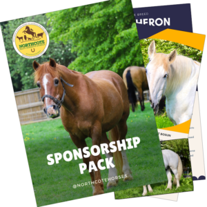 The "Sponsor an animal" brochure cover features a brown horse in a paddock, the Northcote logo, and white horse leaflets—inviting you to support animals for a brighter future.