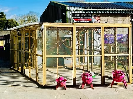 A large outdoor wooden aviary with netting stands beside a building labelled The Stables. Three pink pig-shaped toys are on the pavement in front of the aviary. Trees and blue sky are visible in the background.