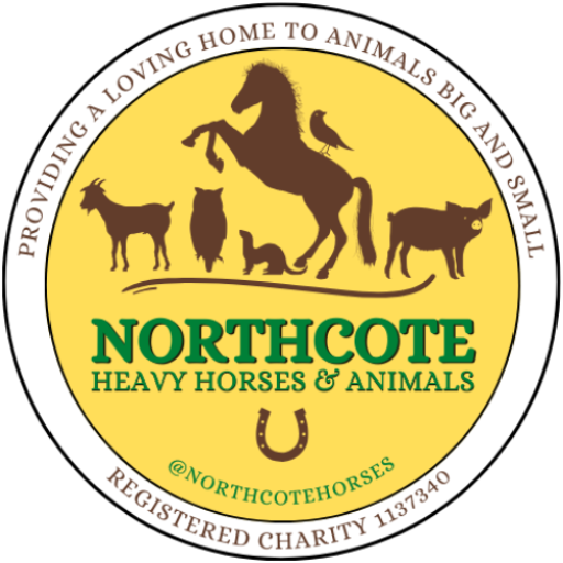 A circular Animals Logo for Northcote Heavy Horses features silhouettes of various animals on a yellow background, with the text “Providing a loving home to animals big and small” round the edge.