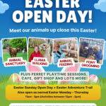Easter Open Day poster featuring animals and children, with activities such as Easter Egg Hunt, animal sanctuary visits, llama walking, animal feeding, pony grooming, plus event details and colourful decorations such as eggs and flowers.
