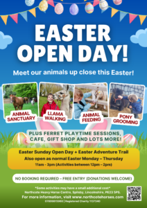 Easter Open Day poster featuring animals and children, with activities such as Easter Egg Hunt, animal sanctuary visits, llama walking, animal feeding, pony grooming, plus event details and colourful decorations such as eggs and flowers.