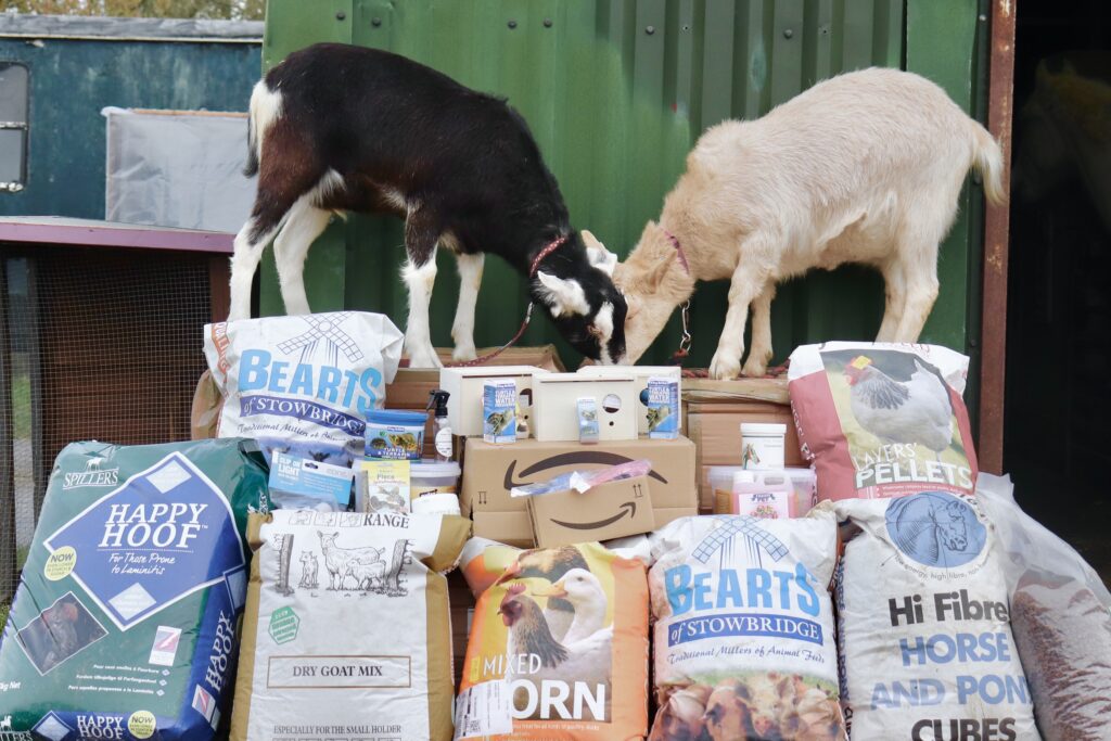 Two goats stand on bales of hay, eating, surrounded by various bags of animal feed and supplies from our Amazon Wish List—including horse and goat food—in front of a green metal wall. Your animal donations help support animals like these.