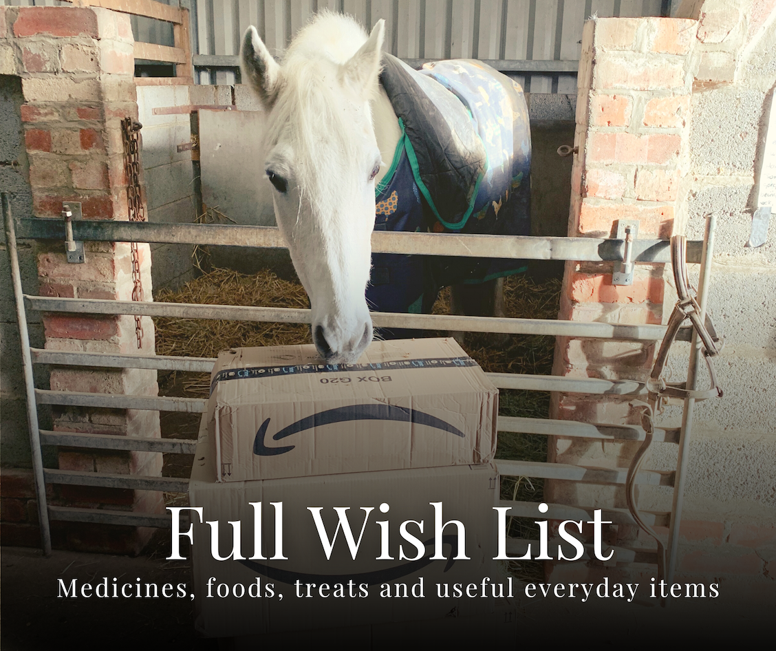 A white horse stands in a stable behind a metal gate, looking down at a large Amazon box. Text at the bottom reads: Full Wish List - Medicines, foods, treats and useful everyday items.