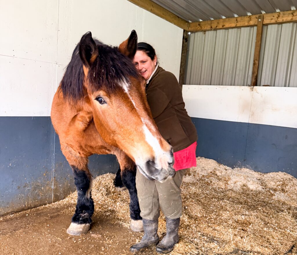 A woman stands in a stable hugging a large brown horse with a black mane, both appearing relaxed and affectionate despite the UK hay shortage. The stable floor is covered in sawdust, and the white and blue walls add a calm backdrop to this moment of animal care.