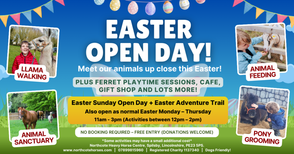 Colourful Easter Open Day event poster featured on the Home Page with photos of llamas, goats, ponies, and a rabbit. Enjoy animal activities, playtime, a café, and more at Northcote Horses—plus opening hours and contact info.